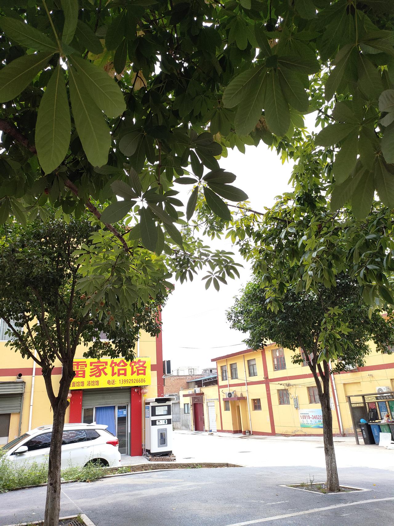 越懂事越难被珍惜，这是感情中最扎心的真相
 
长大后慢慢发现，感情里最不公平、也