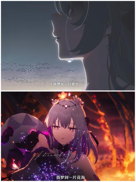 一个梦见焦土，一个梦见花海