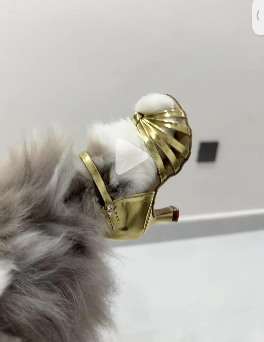 好可爱的鞋能不能给呆米整一双 