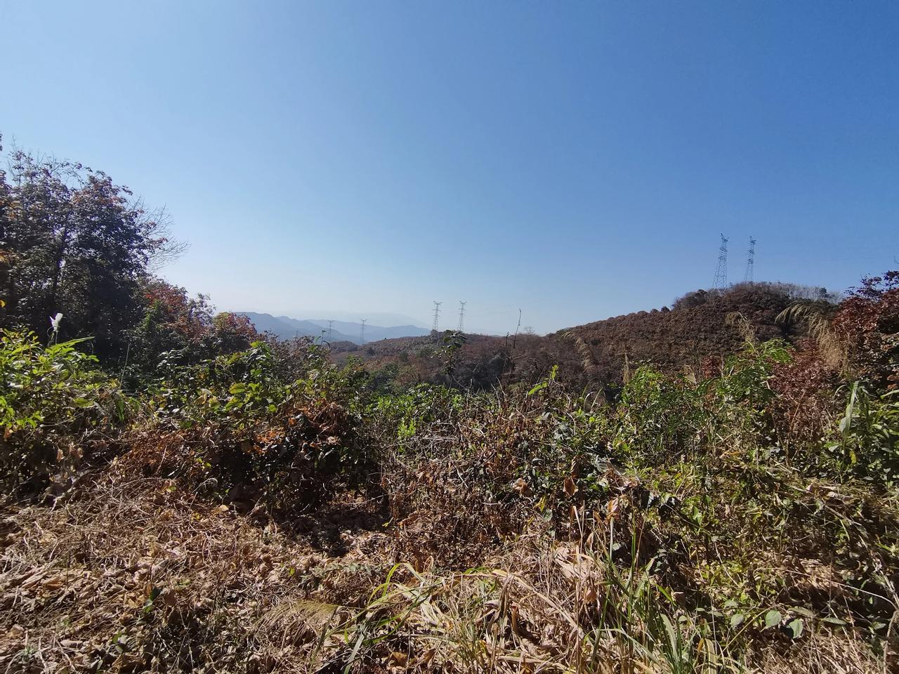 西双版纳勐罕镇山上远眺
