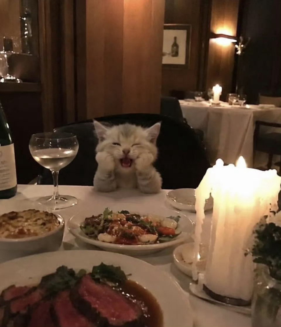 sd的date night 