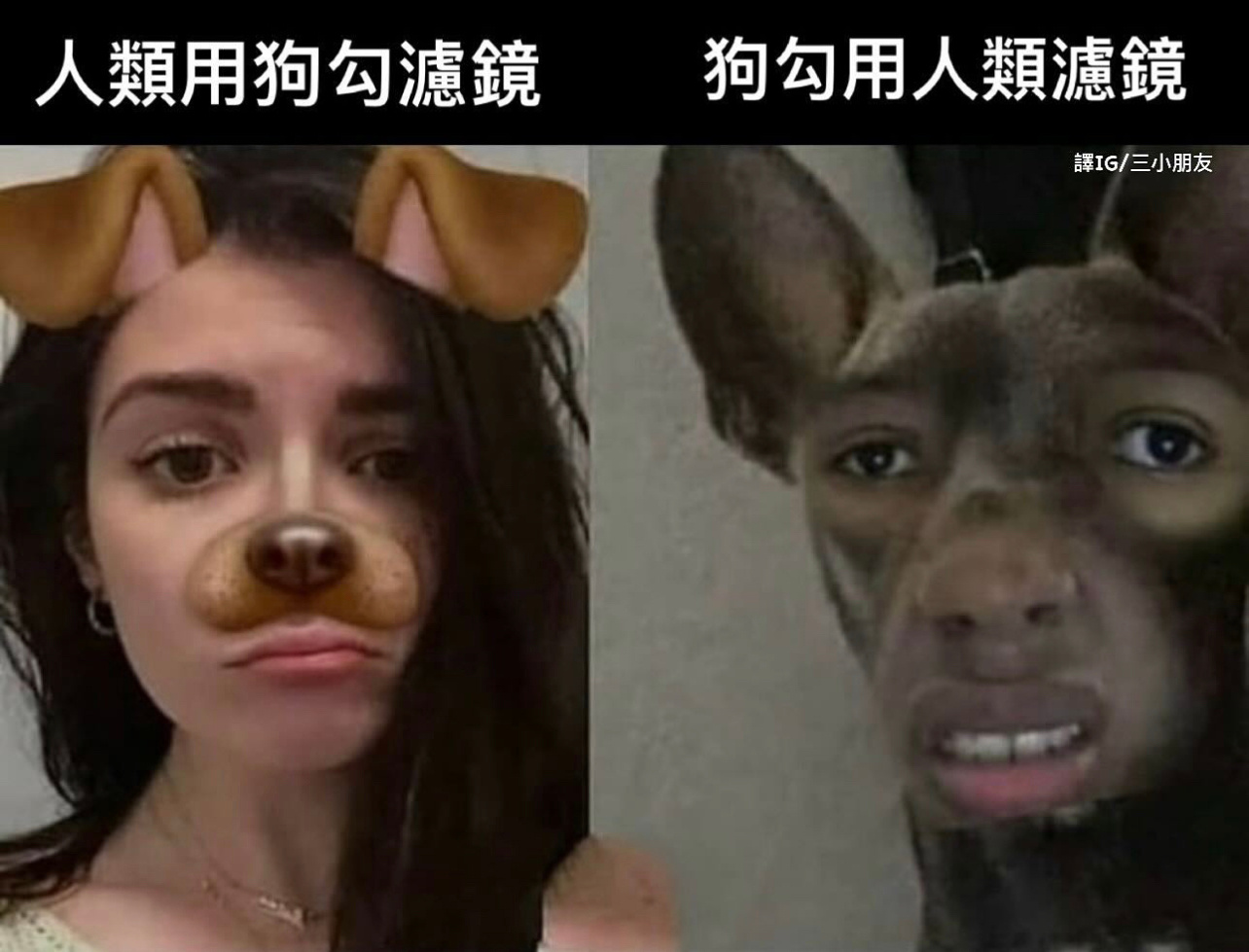 挺可爱的#今日memes# //#春日cityhappy计划# ​​​