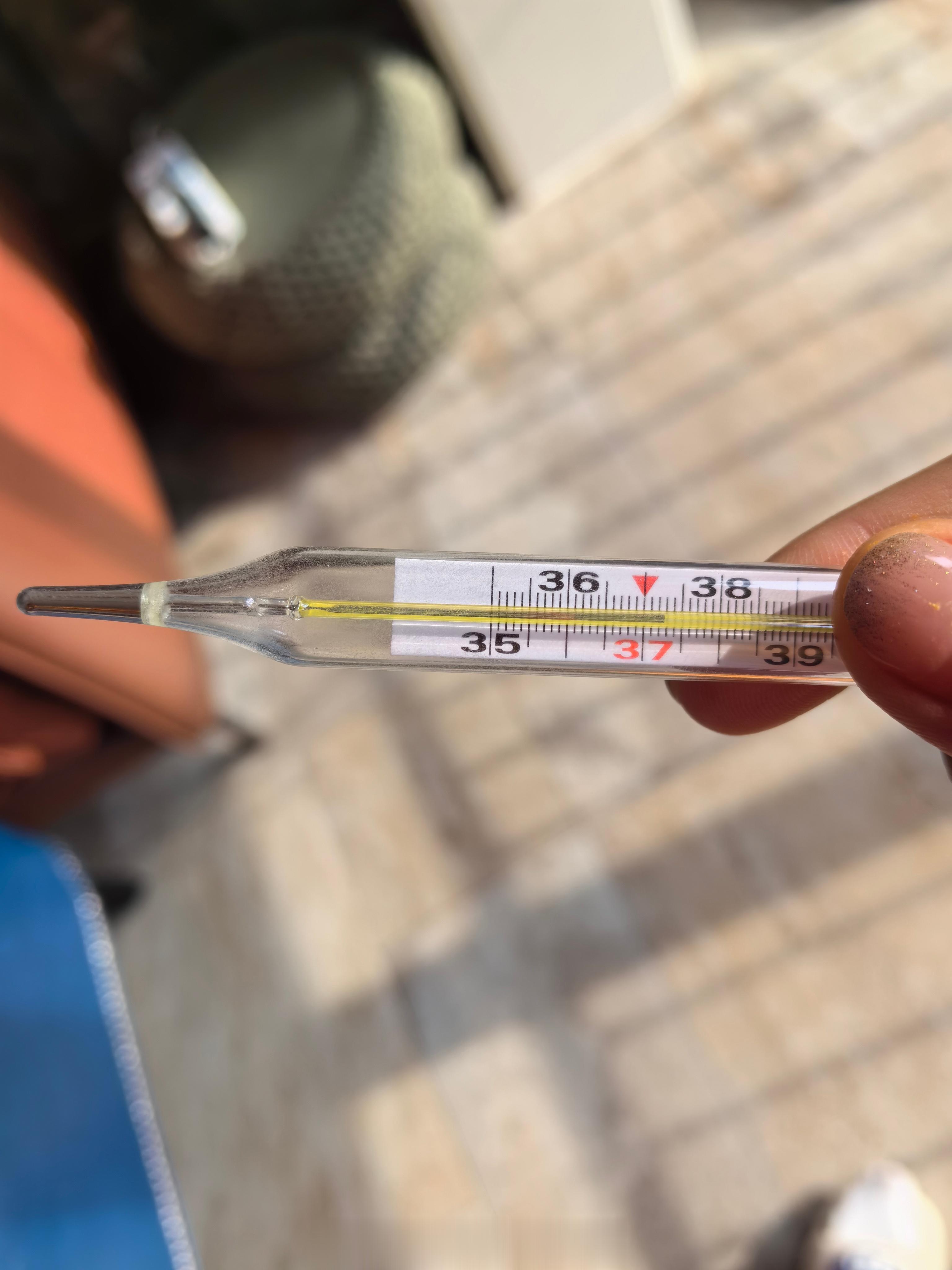 赶紧点了个擀面皮[二哈] ​​​