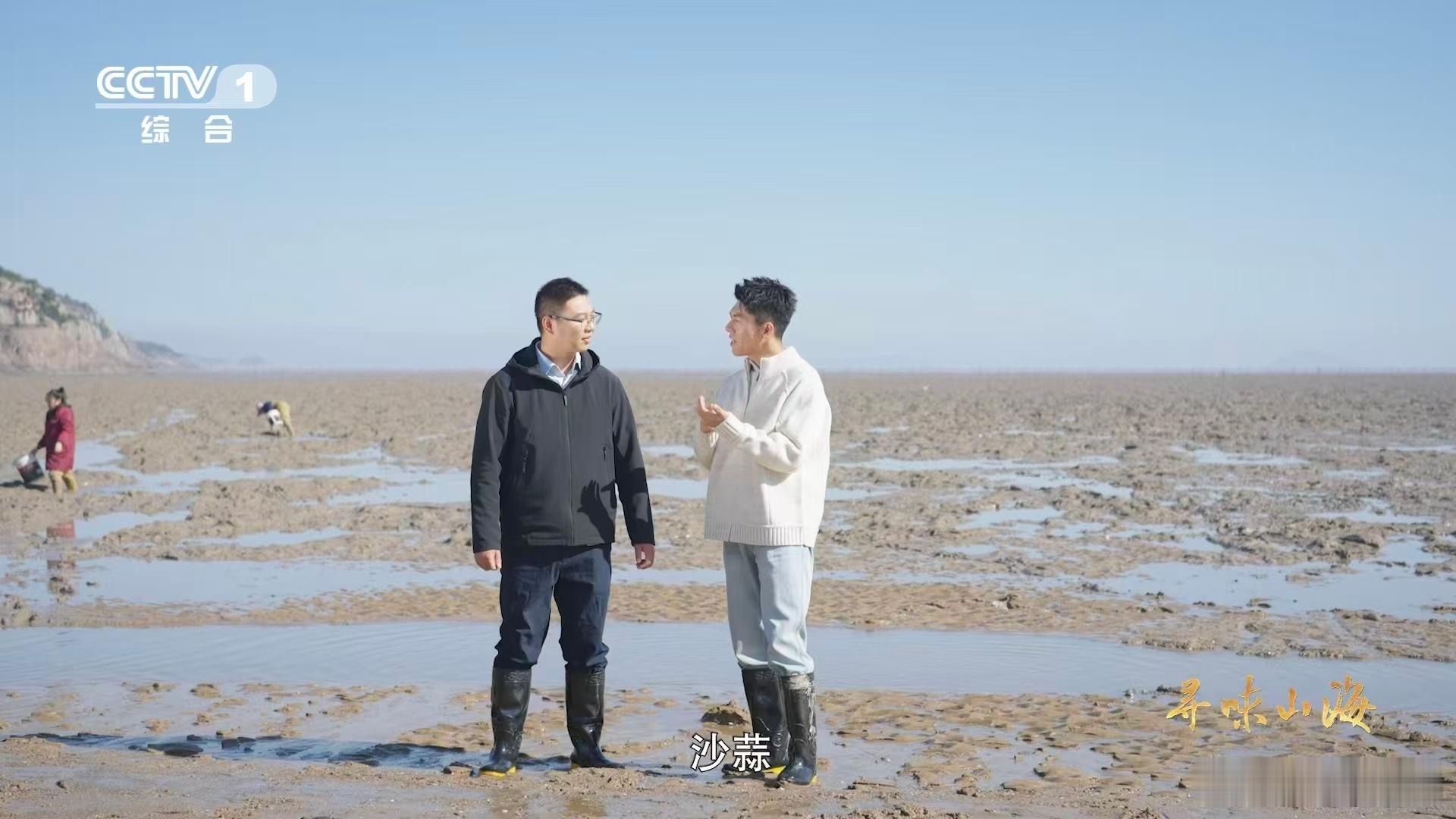 沙蒜不是蒜是海鲜 真的越了解越觉得神奇🥢沙蒜属于海葵，栖息在滩涂，靠吞食泥沙获