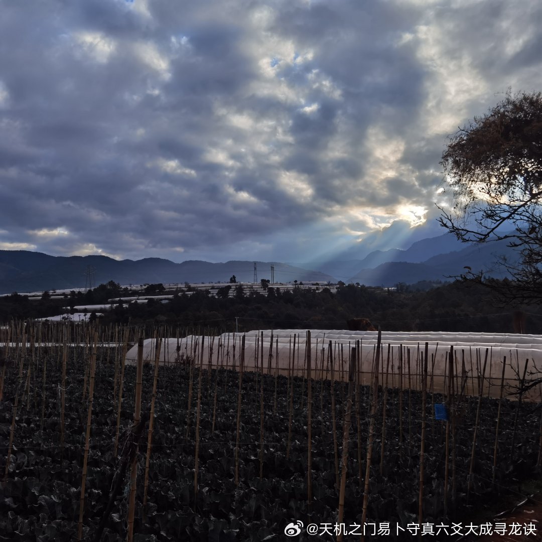 居家不顺、家运起伏，多半与阴阳宅格局气场息息相关，想要实地勘测优化，无需长途赶路
