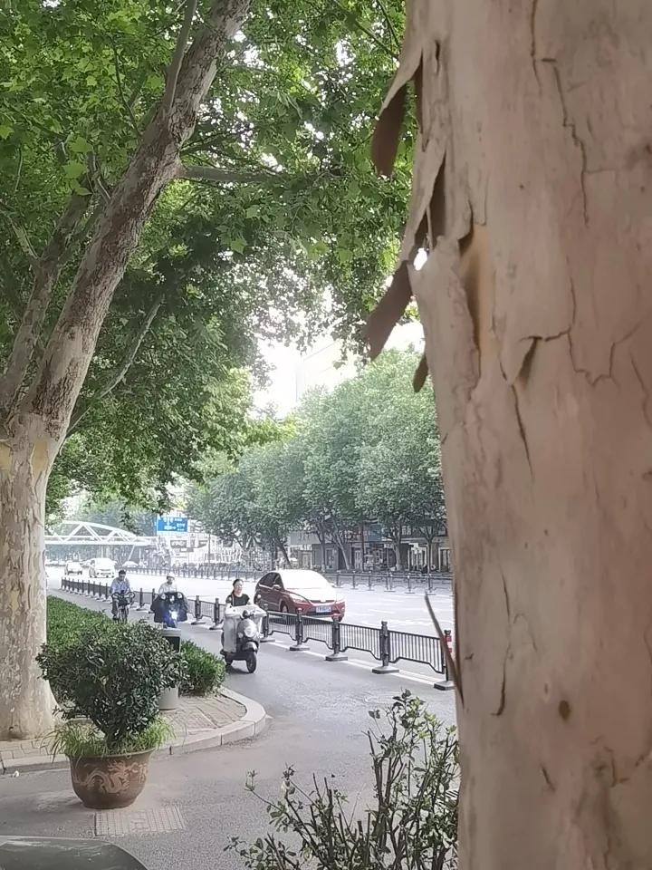 中国足球小将。