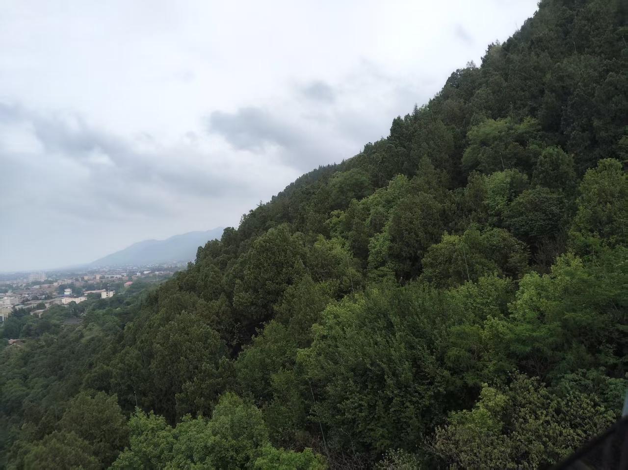 什么“28点和平计划”，不就是美俄出卖乌克兰让美国从欧洲抽身押注亚太的买卖勾当，