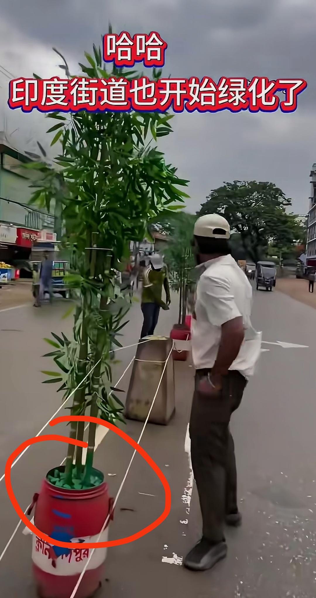 三哥家的道路中间，也开始搞“绿化”了，真不真实不知道，反正就是可以浇水。竹子是盆