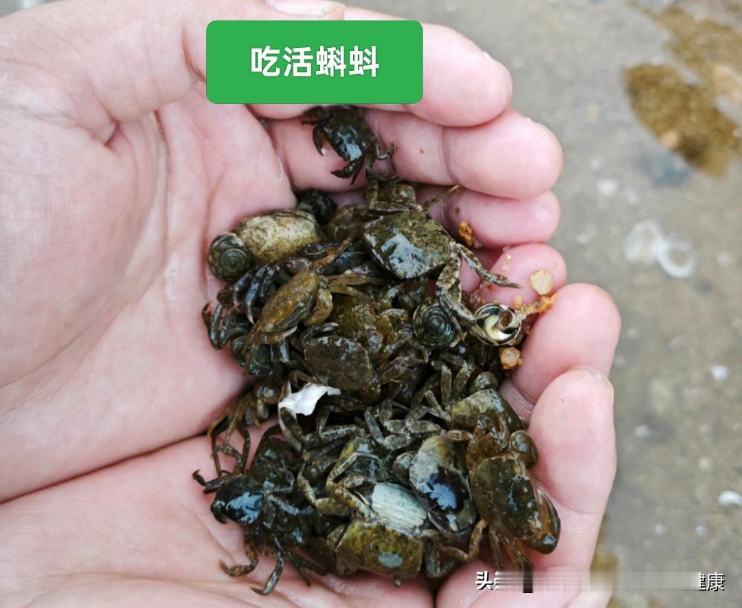 提到“作死”的饮食习惯，通常不是指普通的偏食或吃垃圾食品，而是那些明知有严重健康