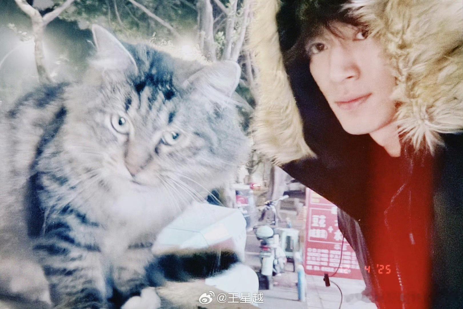 王星越今日营业照，冯河沉淀下来眼神好有戏