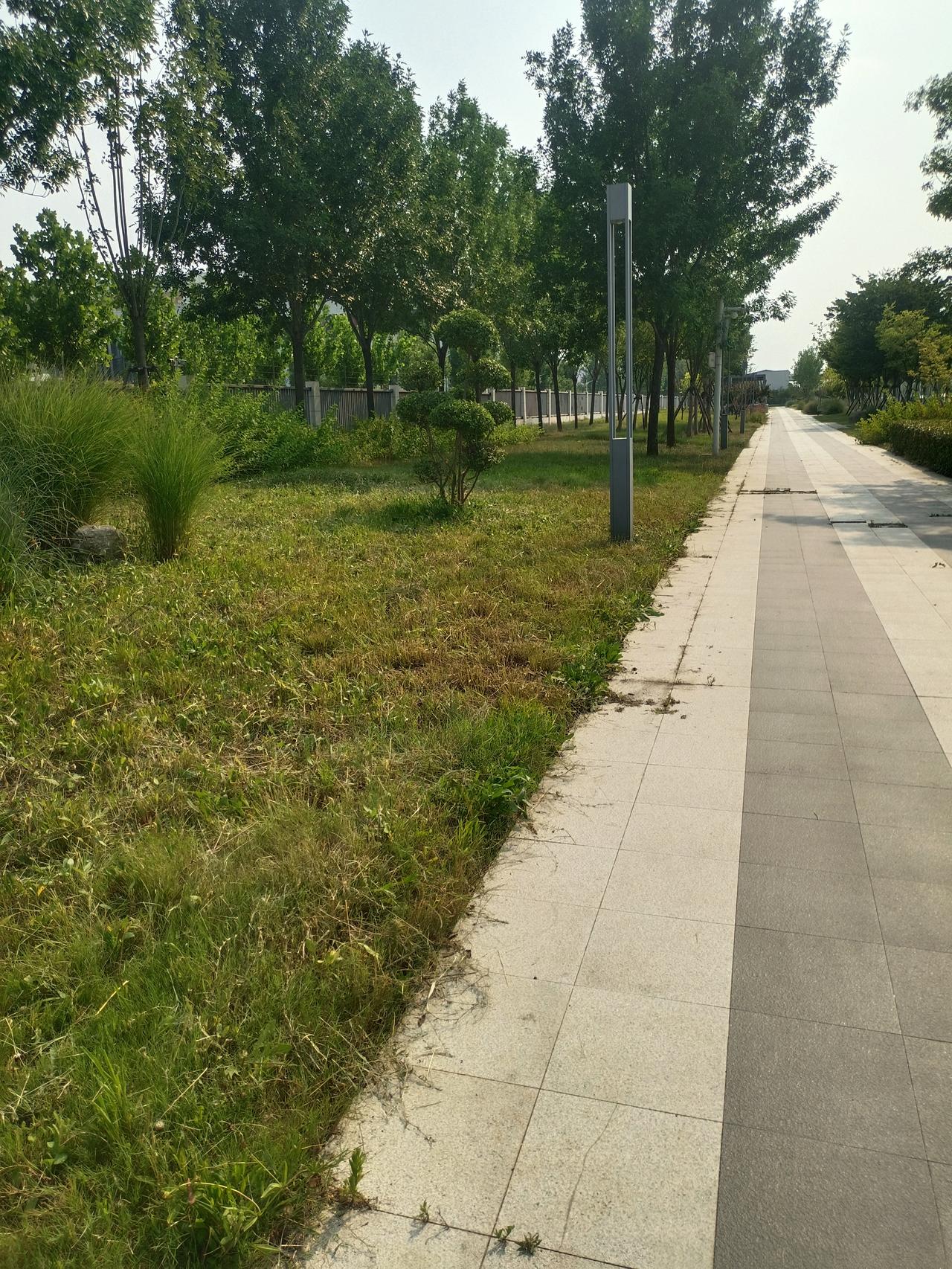 一个女人如果连跟自己待一会儿都受不了，需要不停地往外跑、往人堆里扎、靠发照片博取