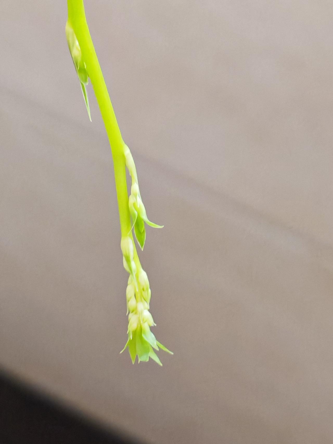 与痛风斗争的历程89
 
  早上起床时，天色带着几分阴沉。恰逢周日，难得睡了个