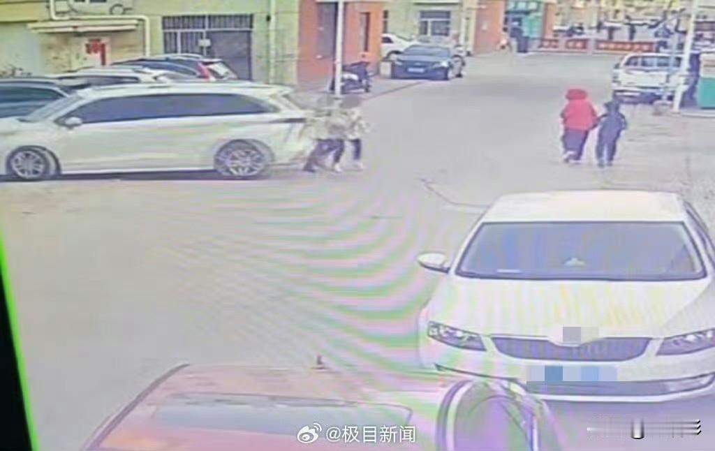 天降横祸！两名女子走在小区路上，一辆白色轿车突然疯狂后退，两名女子来不及躲闪被直