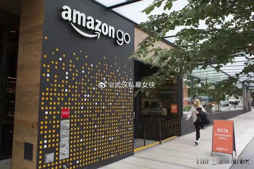 亚马逊调整AI战略，逐步停止大部分旗舰模型，这很可能是人工智能盲目烧钱的时代彻底