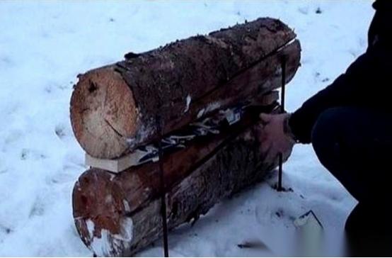 1939年，芬兰的雪林里，苏联士兵的尸体一排排倒下，不是被子弹打穿，而是被活活冻