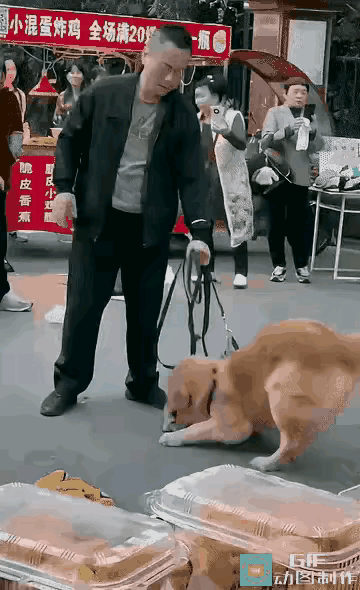 这个狗主人男子太差劲，太自私了，眼睁睁的看着自己的狗咬别人的狗不放。都咬成这样了