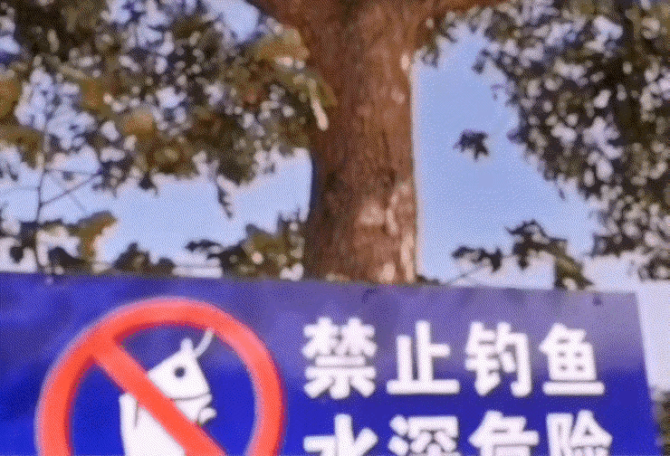 大哥这无所畏惧的精神值得深思[捂脸][捂脸][捂脸]