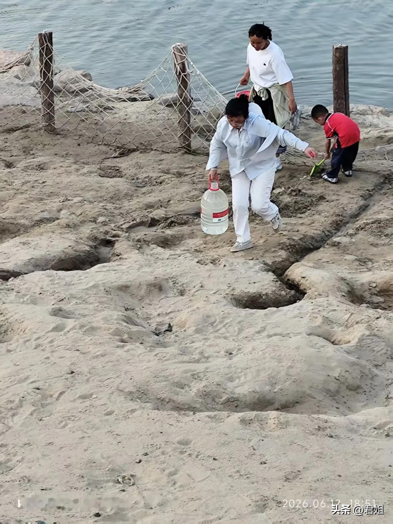 六零后阿姨白天打工，早晚开荒种菜，究竟图的什么？
六零后的我上班上着呢，可今年干