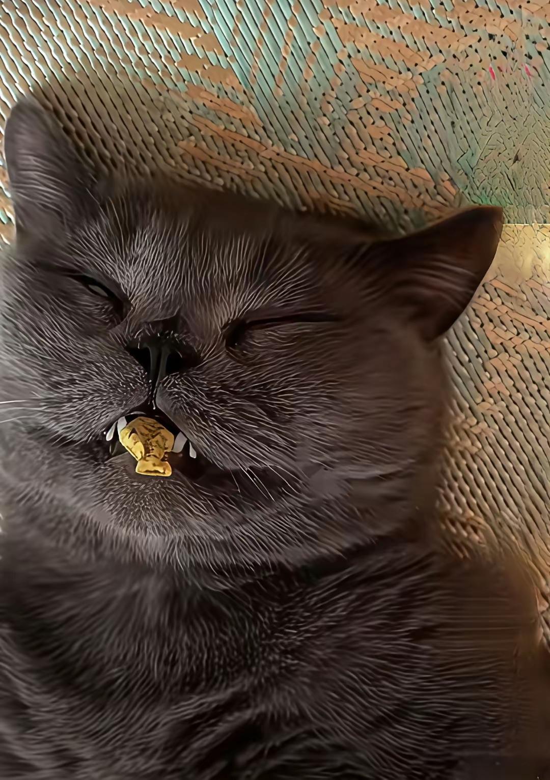 装睡的家伙[马思纯的微笑]