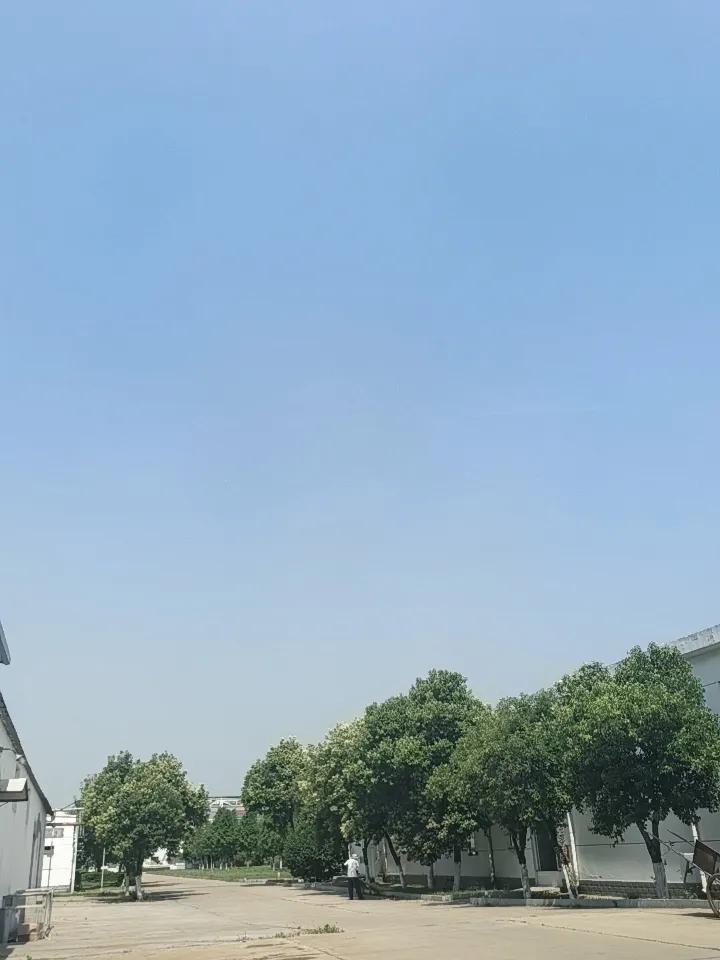 今天山东鲁西南37度。全国最热的地方是不是以下城市？
第一，新疆吐鲁番热的喘不过