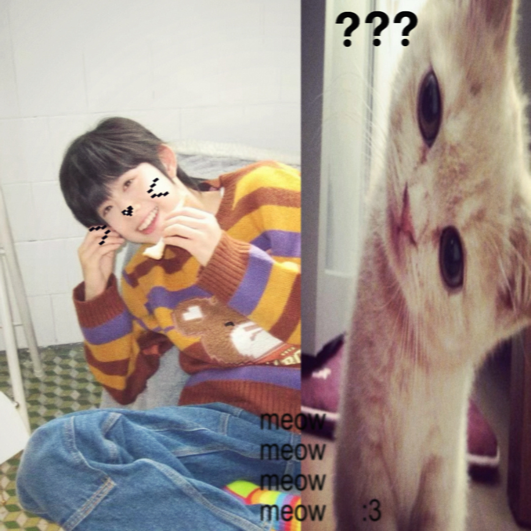 小猫无法飞翔 可能是头上的妙脆角太重…^_   ̫ _^ 