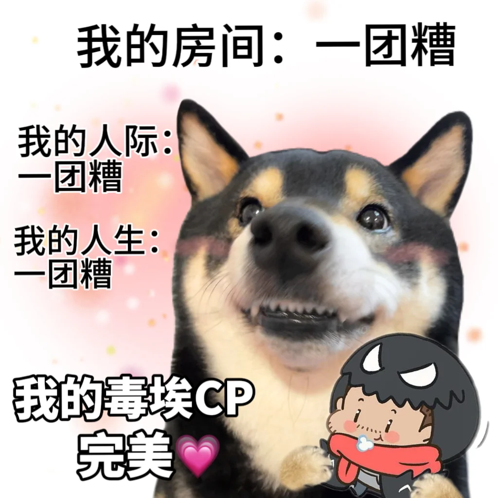 你看他们多般配！你！看！啊！😍