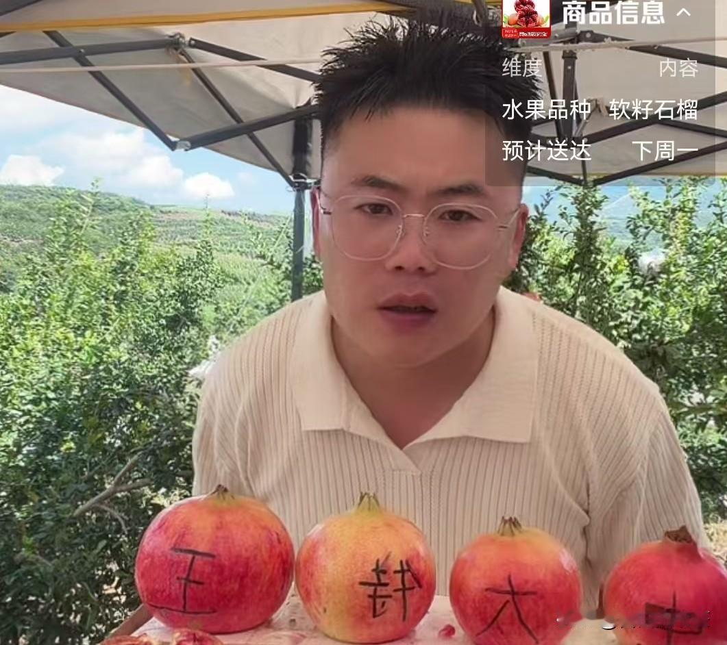 小乔弟弟去大凉山带货石榴
        刷到跳舞的视频，有点懵，看着很陌生，又