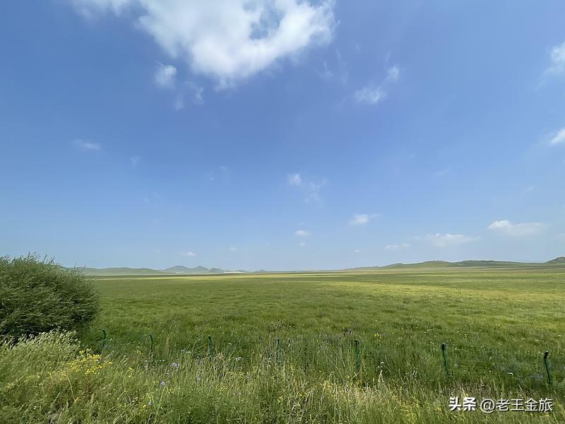 最让我难忘的草原之旅是去内蒙古锡林郭勒西乌珠穆沁旗大草原。那次和小考拉阅读团的伙