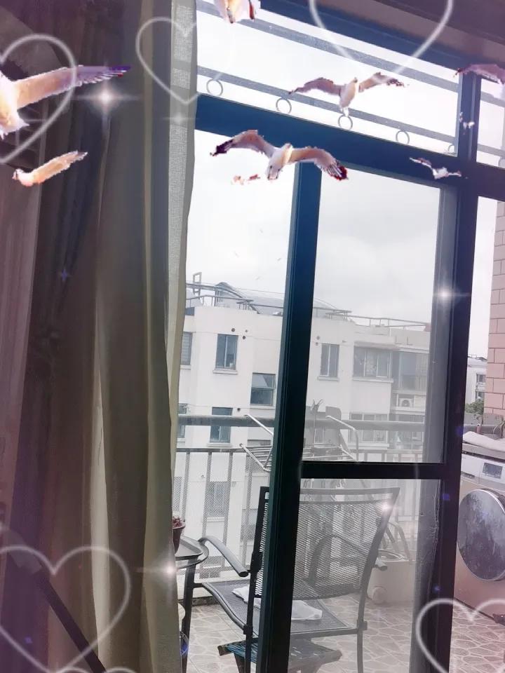 上海今天下雪了