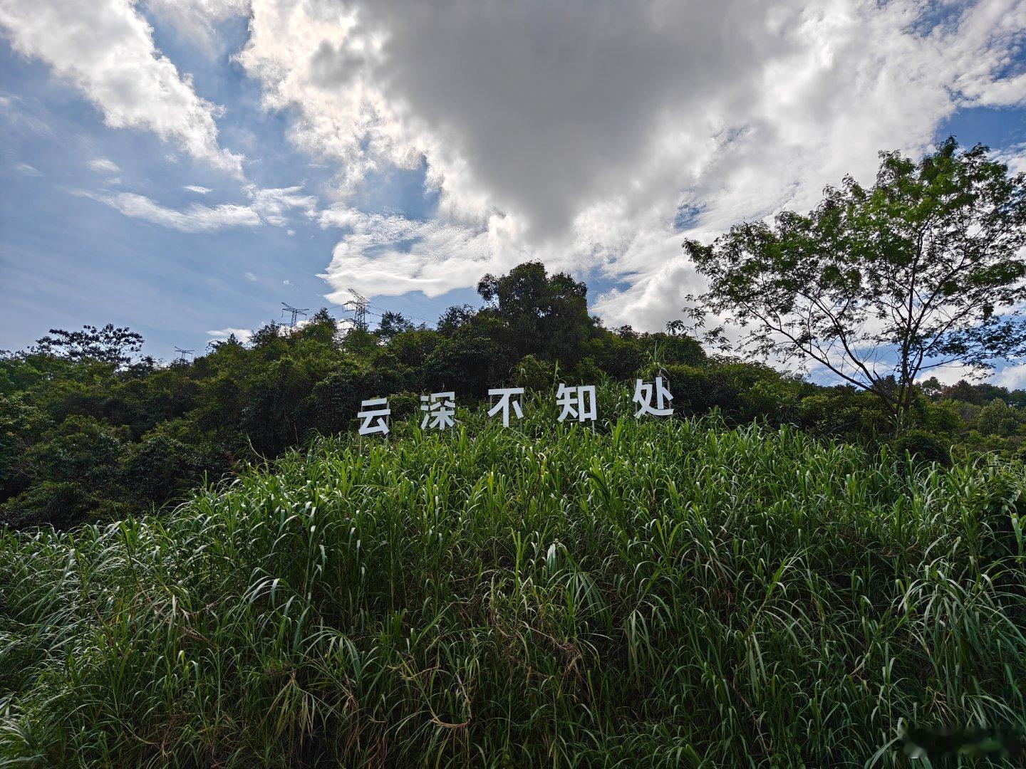 云深不知处。。 深圳·云深不知处