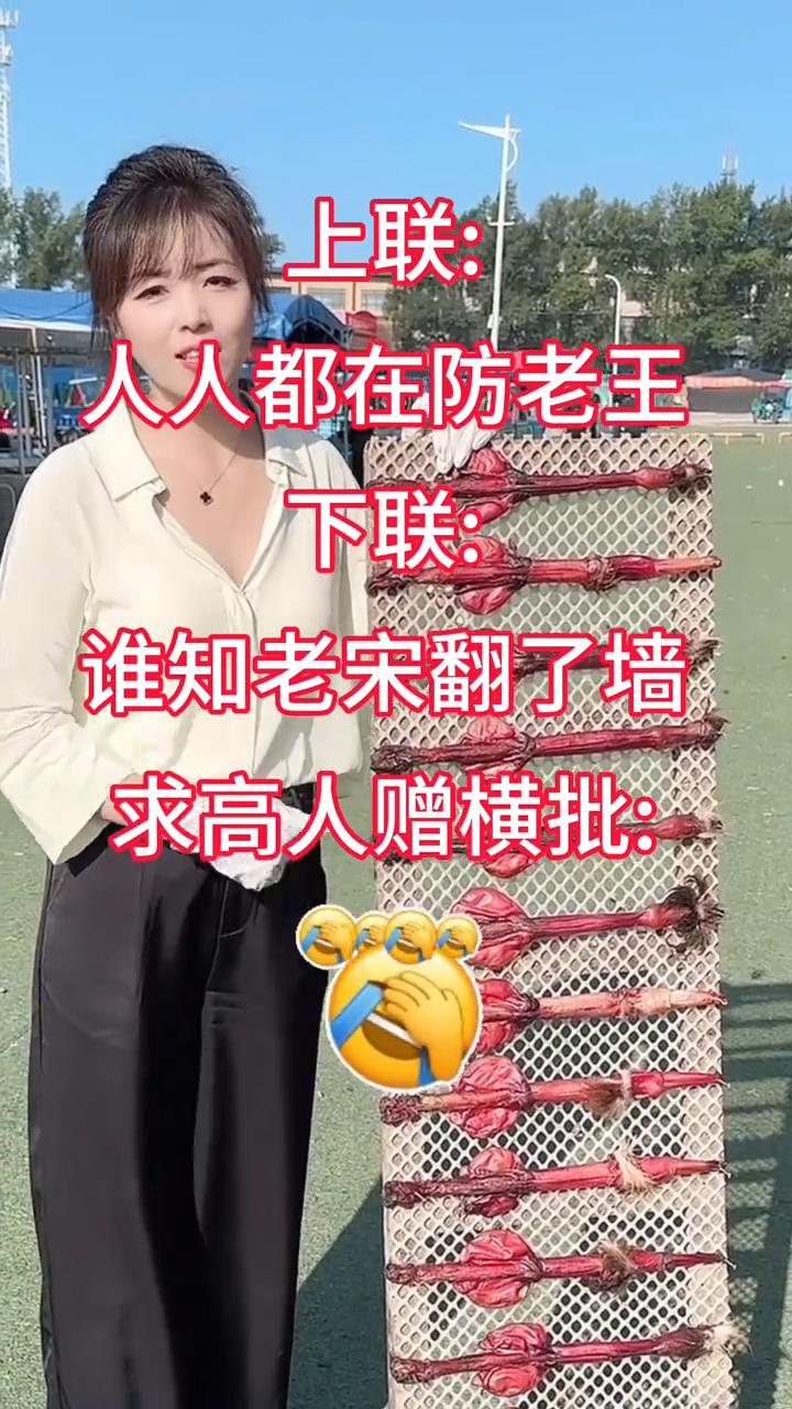 上联：人人都在防老王。下联：谁知老宋翻了墙。求高人赠横批：求高人赠。