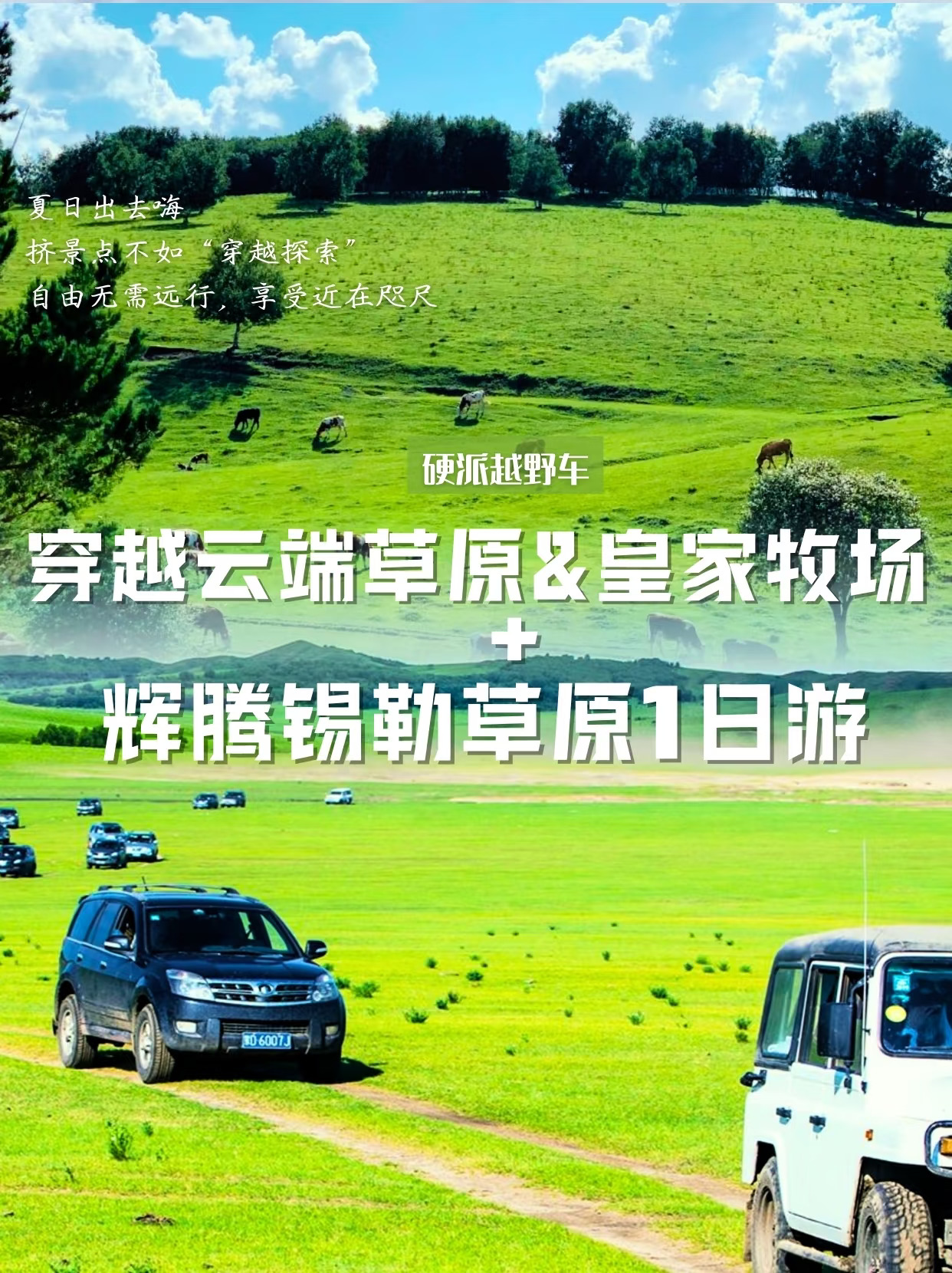 内蒙古穿越1日游|云端草原+辉腾锡勒草原
