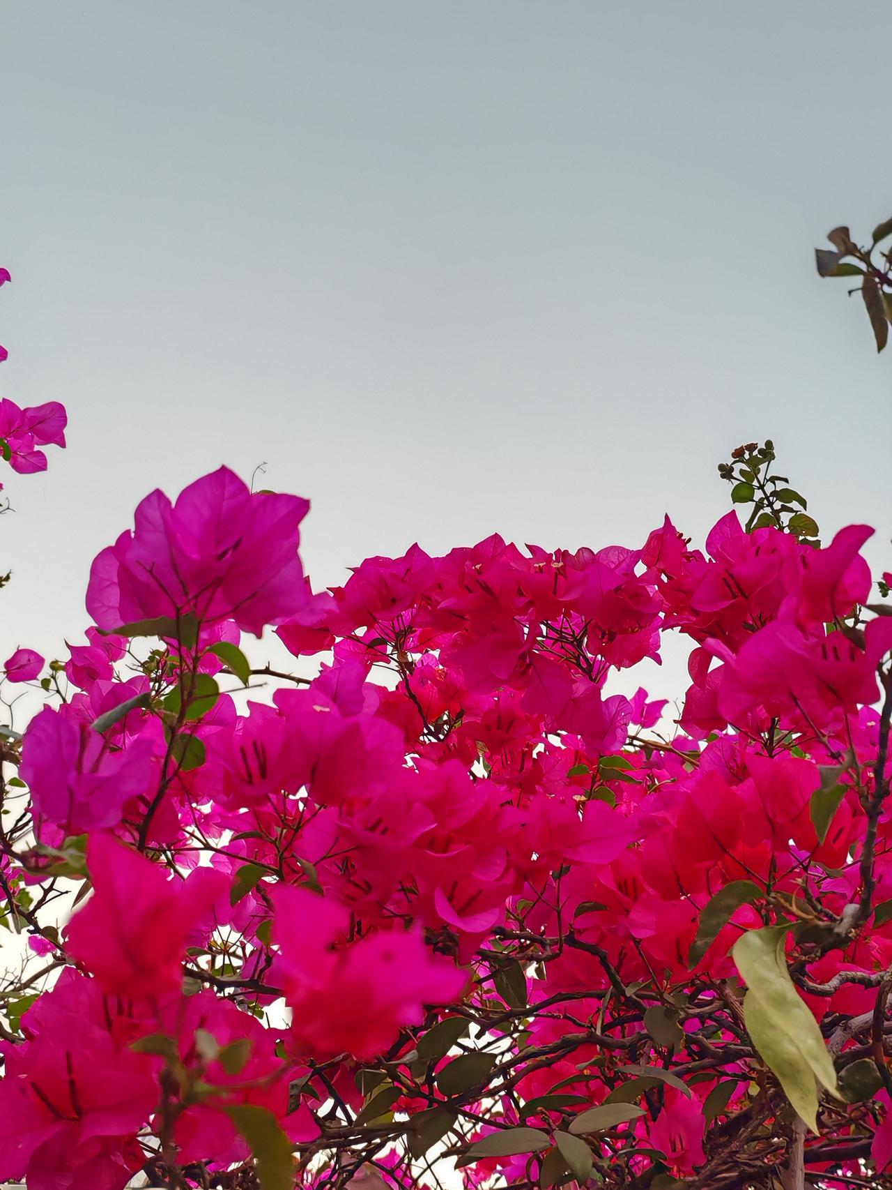 为什么普通人写文章不如作家写的好这就跟武术爱好者、网红去挑战专业格斗运动员被秒K