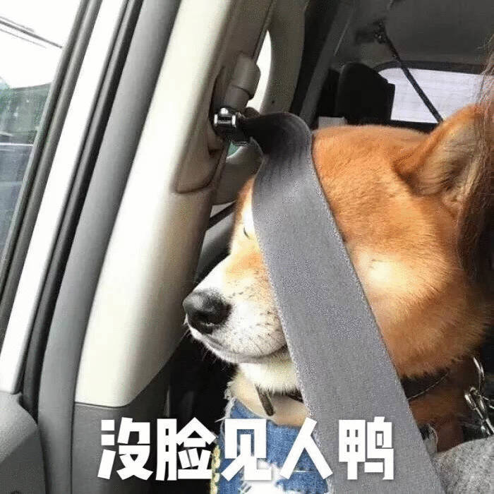 4月1日起全国严查后排未系安全带查吧，虽然对于后排乘客麻烦点，但对于安全，有帮助