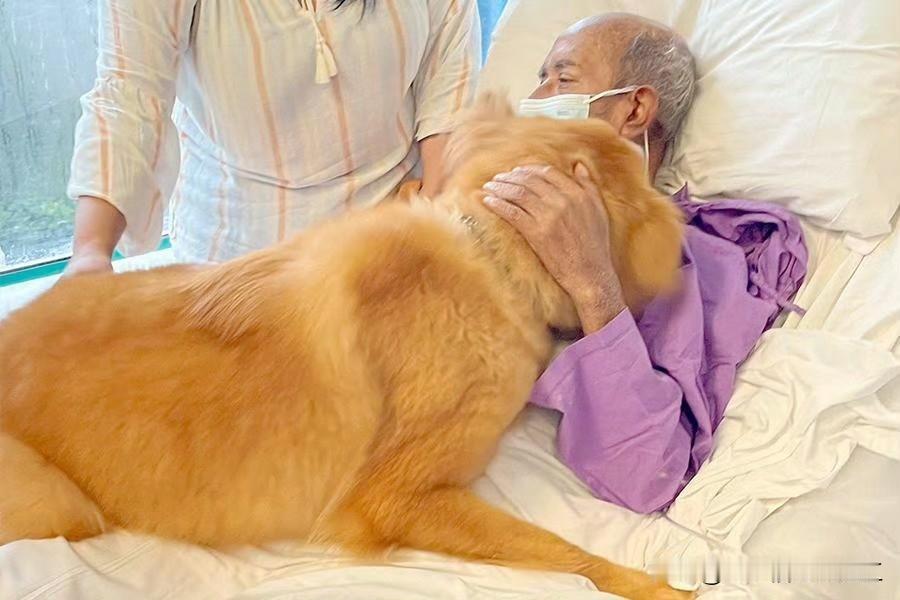 香港将军澳医院一名病情恶化的晚期阿伯病人，临终前心愿是希望能再见家中爱犬Rio一
