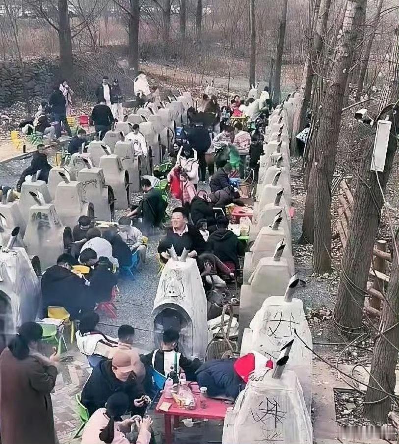 对不起，没人说我以为是坟 