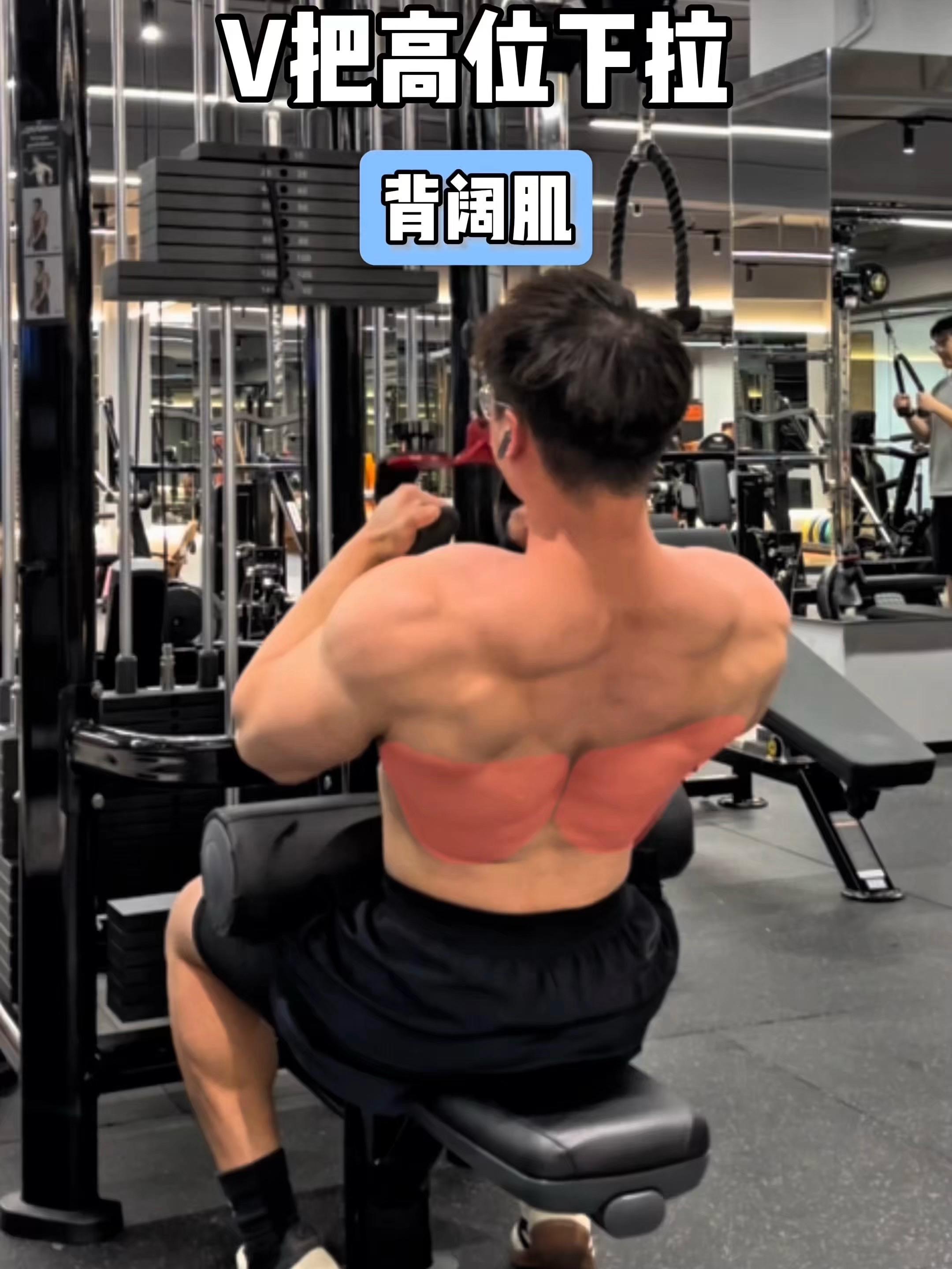 V把高位下拉，保姆级教程！ 一、目标肌群 V把高位下拉，背阔肌 二、练...