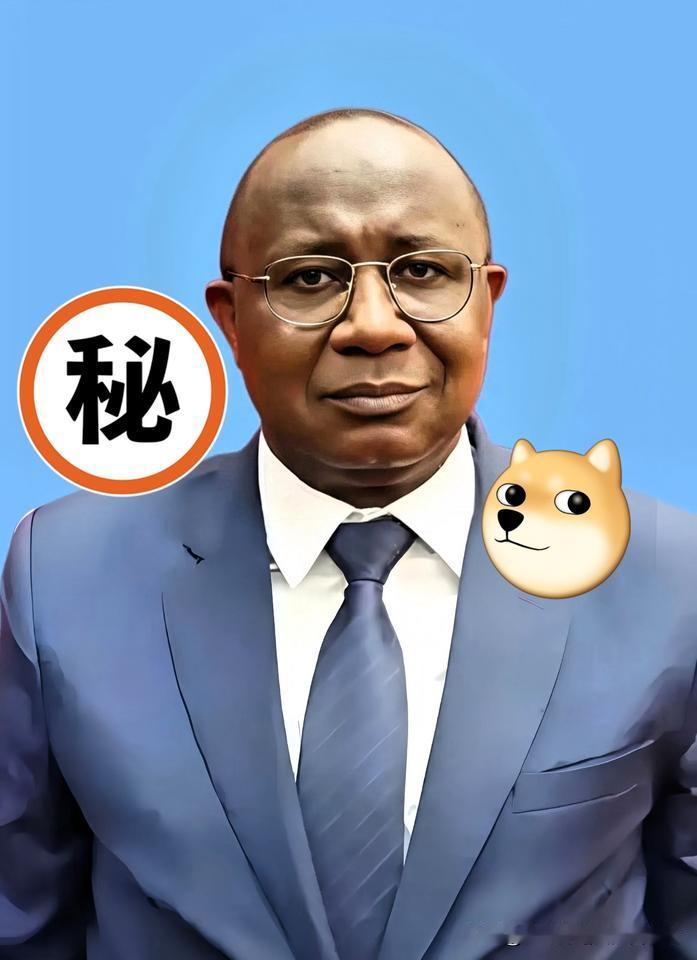刚果（金）做法太离谱了！中国70亿刚砸完
帮它建路解就业
他竟拿钴矿换美元
 