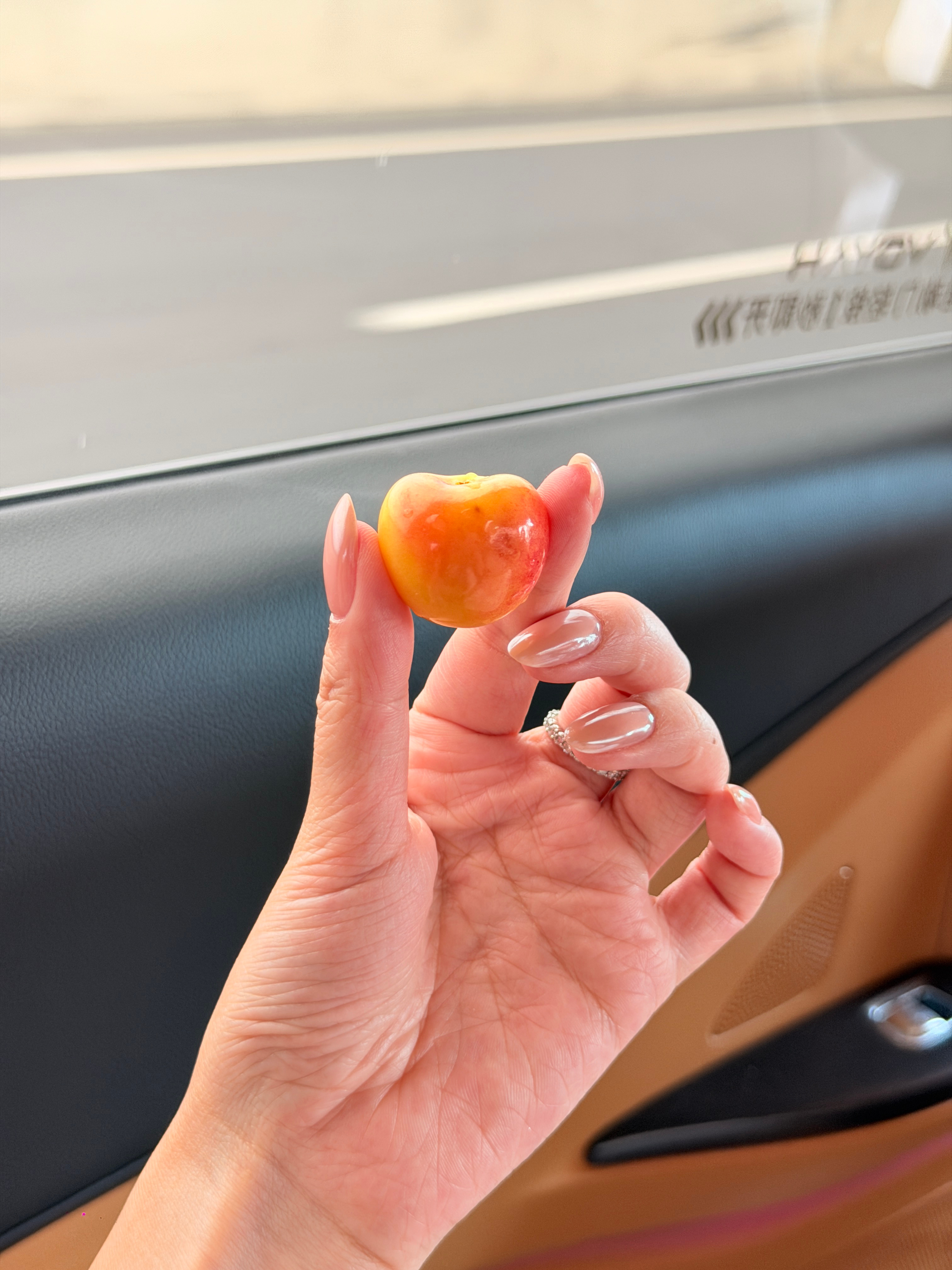 上海真是常逛常新许久未去还是有点小激动这个白🍒是什么品种的好甜！！ 