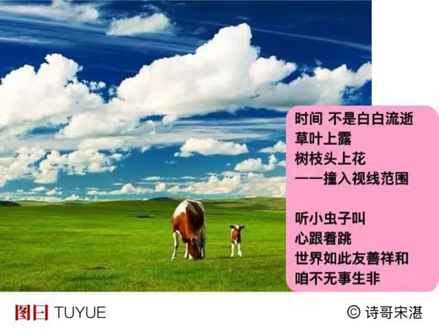 既然一无所长
我只有全心全意
微笑挂在脸上
阳光收藏心底
．
借助三两声鸟语
请
