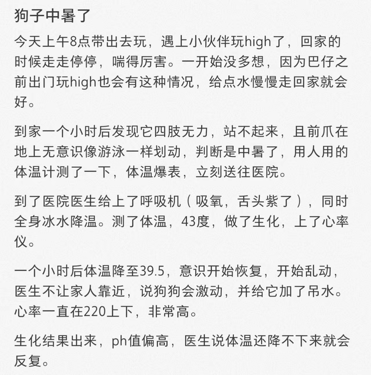狗狗非常容易中暑，遛狗时一定注意！ ​​​