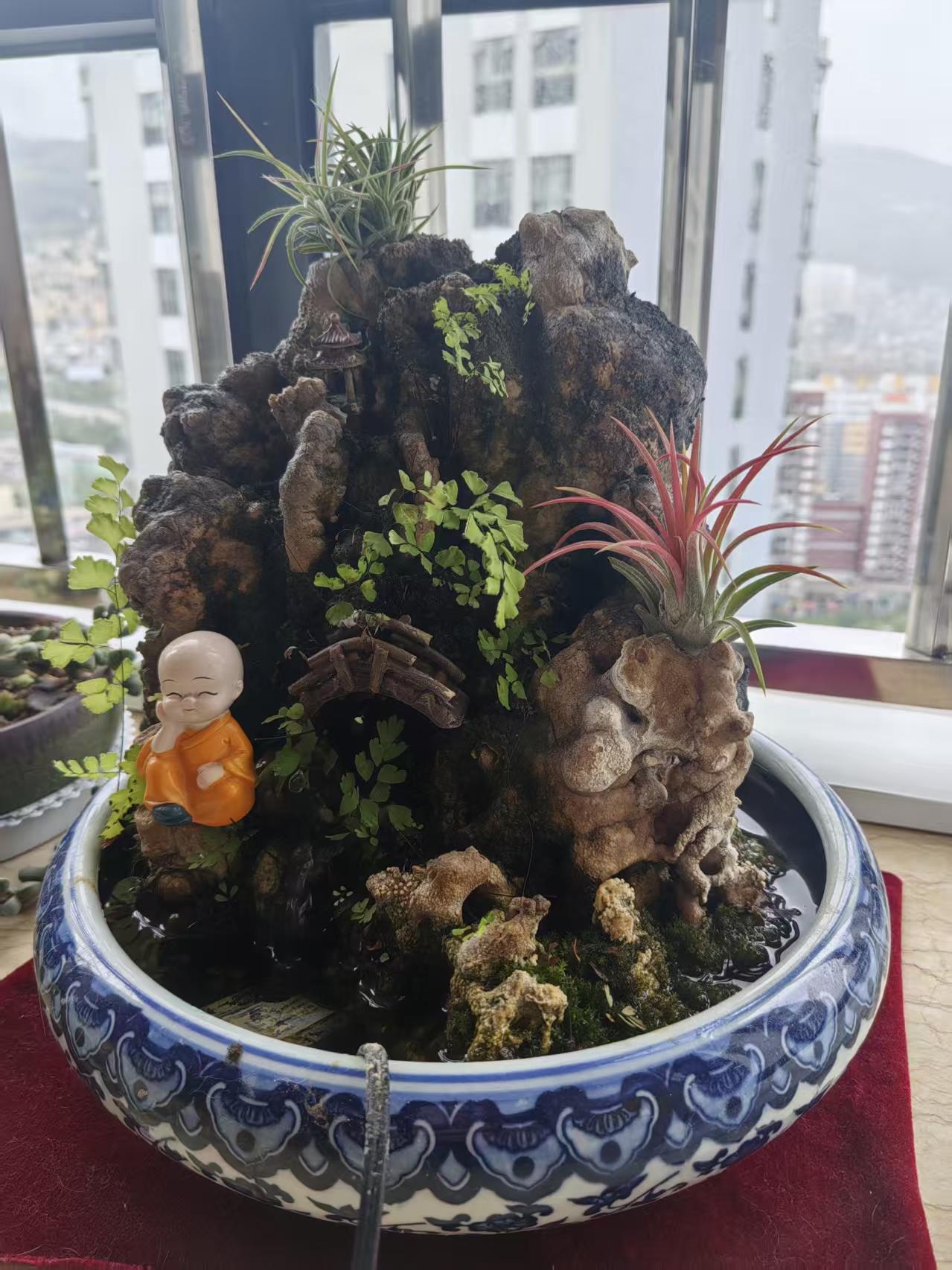 盆景