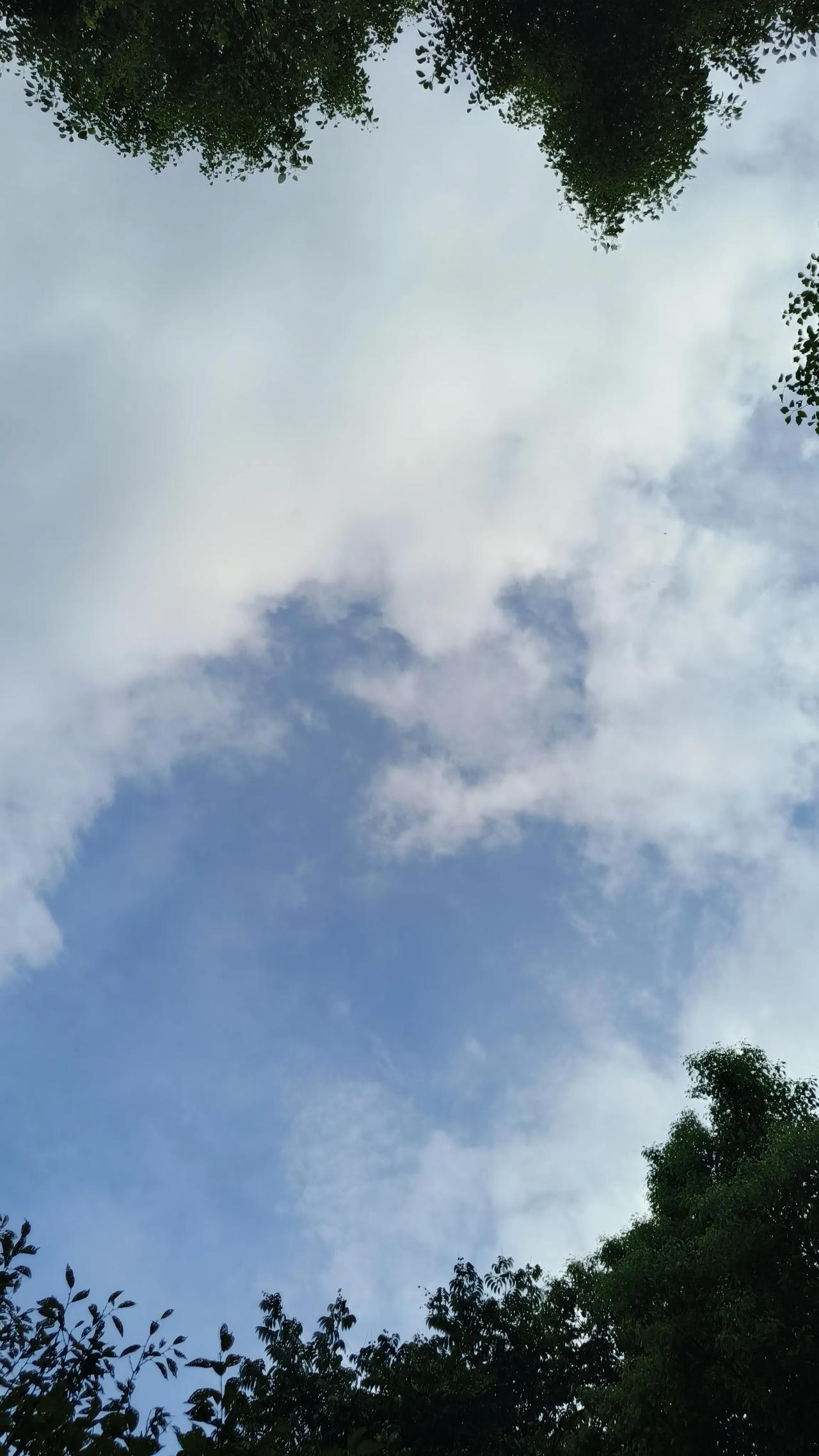 #公园美景随拍#宛山湖湿地公园的天空