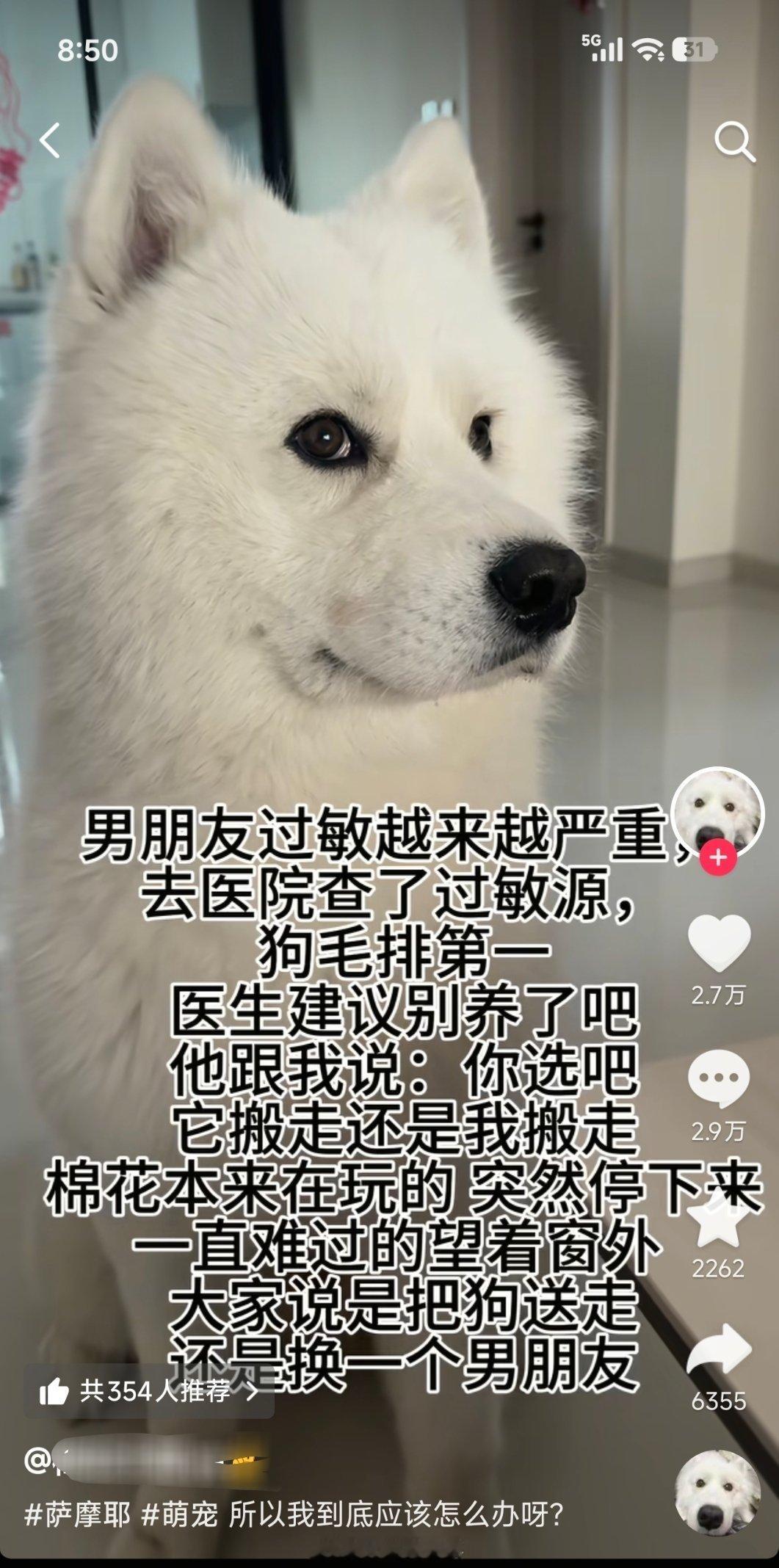 抖音为什么老给我推这种帖子？ 