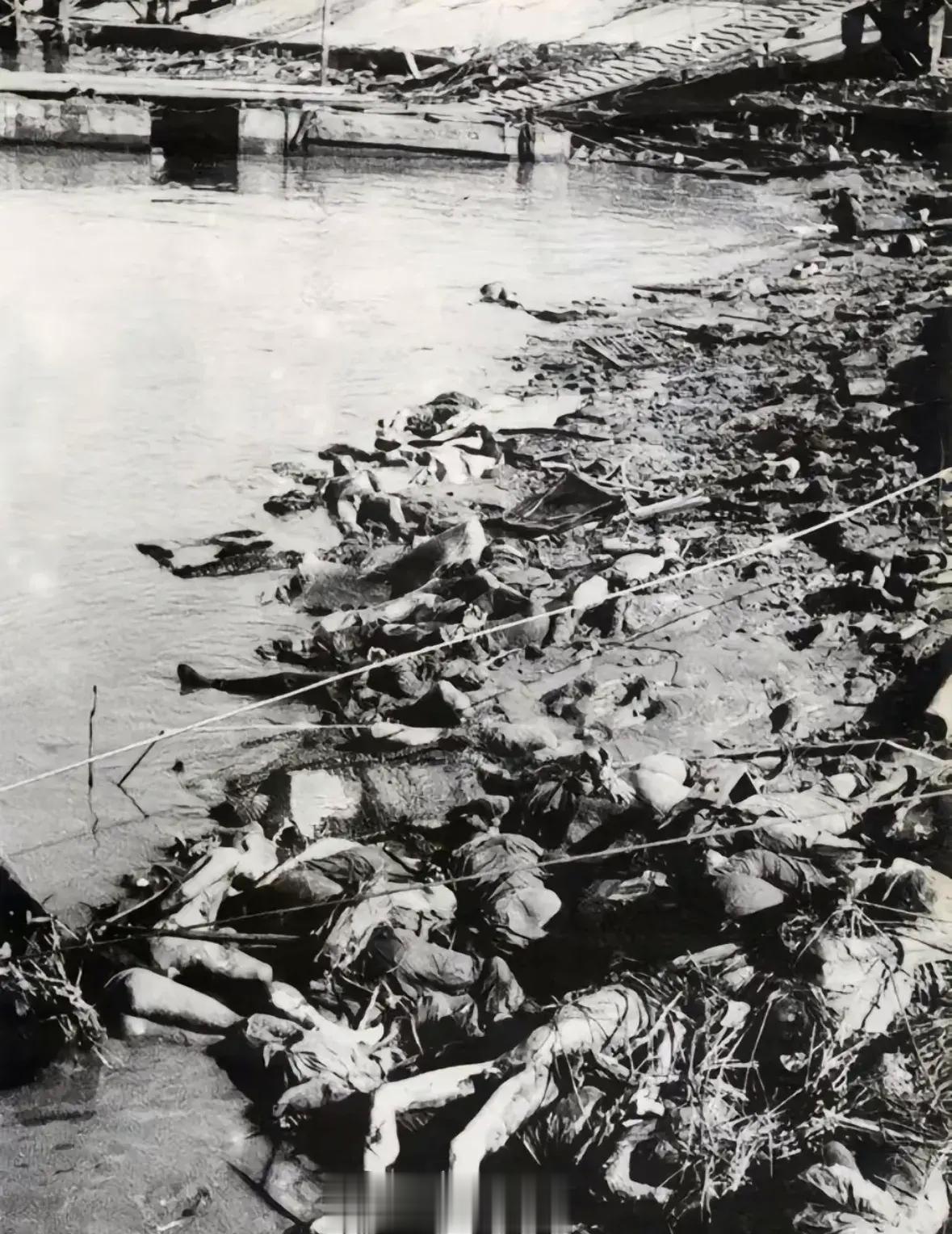 1937年，南京。日本鬼子杀的中国人，由于尸体太多，直接将长江航道堵死了。没有一