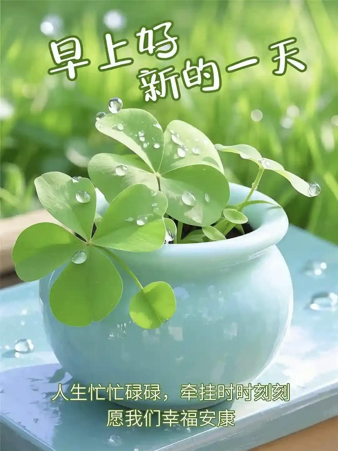清新的早晨，开启新一天，从绿色出发简直太妙啦！就像我之前早起去公园，满眼的绿色植