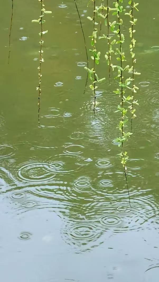 天净沙·征途
新春雨细风斜，
长堤柳嫩桃发。
古道尘飞汗洒。
澄沙淘罢，
灿然金
