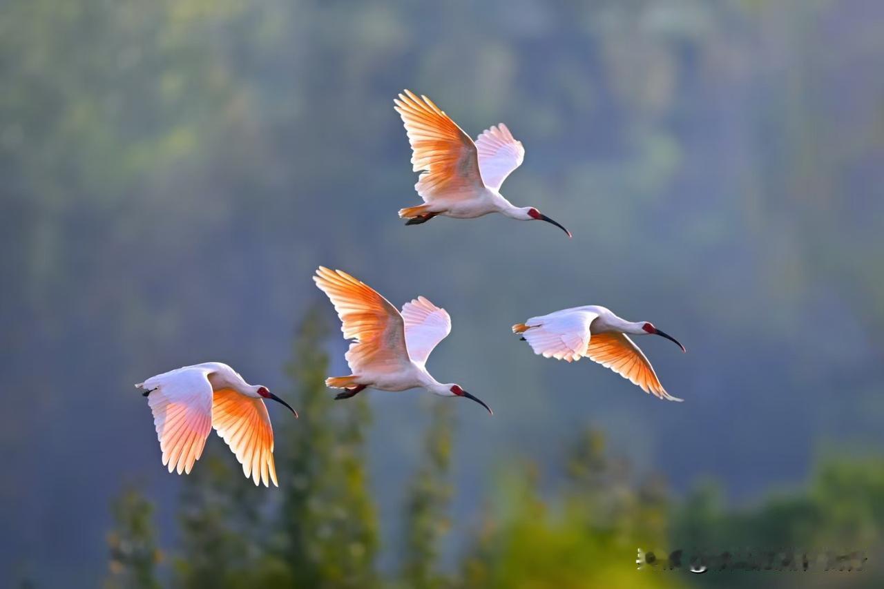 倏忽秋色尽，寒意渐入冬。愿这个冬季不缺暖阳，好日常在，所得皆所想，所念皆如愿！