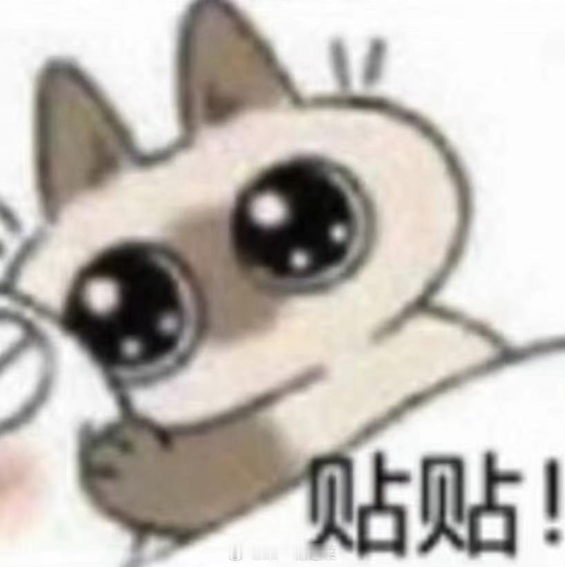 歌手广告席位选手除了杨幂，新增王一博、高圆圆、辛芷蕾、汤唯#歌手直播# ​​​