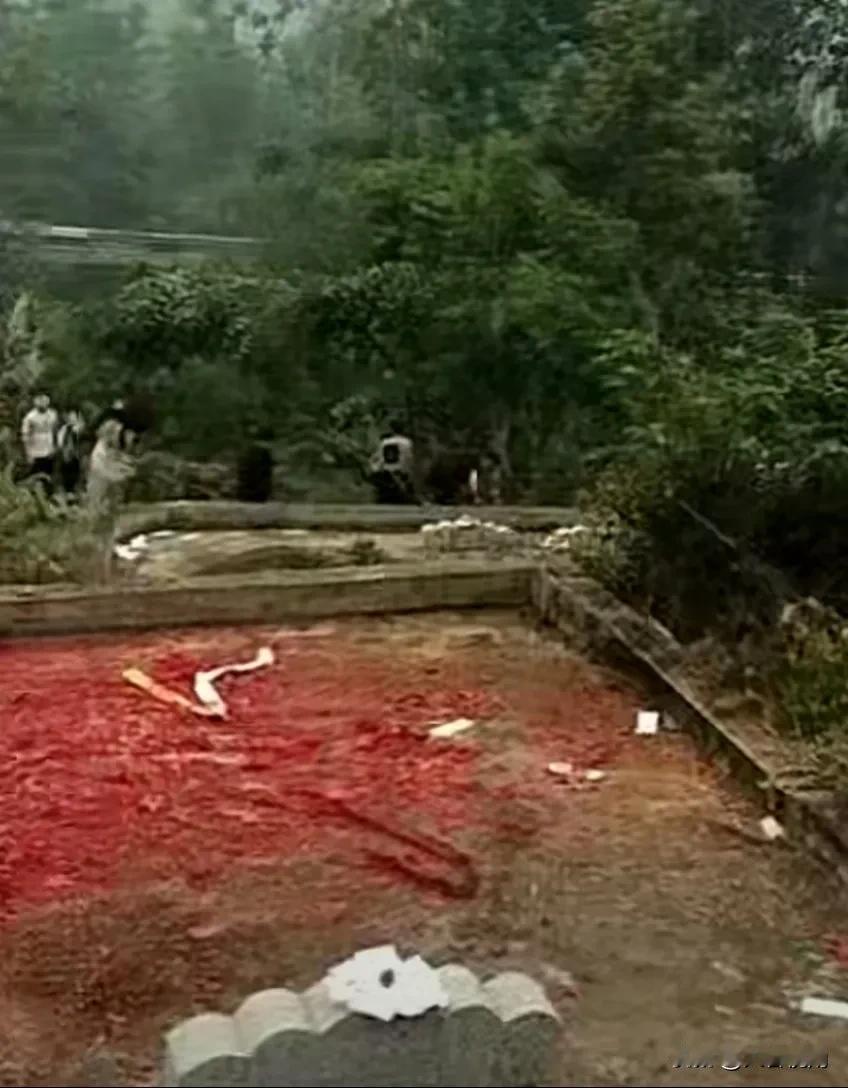 清明时节，山野间烟雾缭绕，人们纷纷上山拜祭祖先。视频中，墓地周围长满了杂草，几座